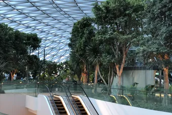 Escalators rising through the indoor gardens